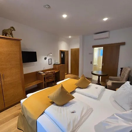 Hotel Boutique Goldenes Lamm 4*